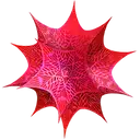 Wolfram Mathematica logo