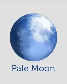 Baixar Pale Moon Torrent Brasil Download