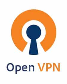 Baixar OpenVPN Torrent Brasil Download