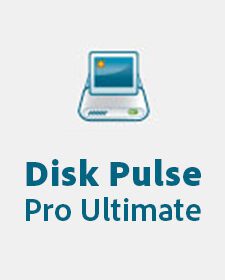 Baixar Disk Pulse Pro / Ultimate / Enterprise Torrent Ativado Português Completo para PC Grátis Atualizado - Rápido e Sem Propagandas.