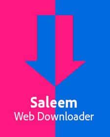 Baixar Saleen Web Downloader Torrent Ativado Português BR Completo para PC Torrent Grátis Atualizado, Rápido e Sem Propagandas
