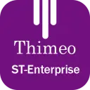 646f3a0ada718 thimeo st enterprise Icon