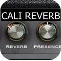 Nembrini Audio Cali Reverb