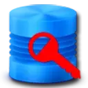 6527d7091d3ec securityxploded database password recovery Icon